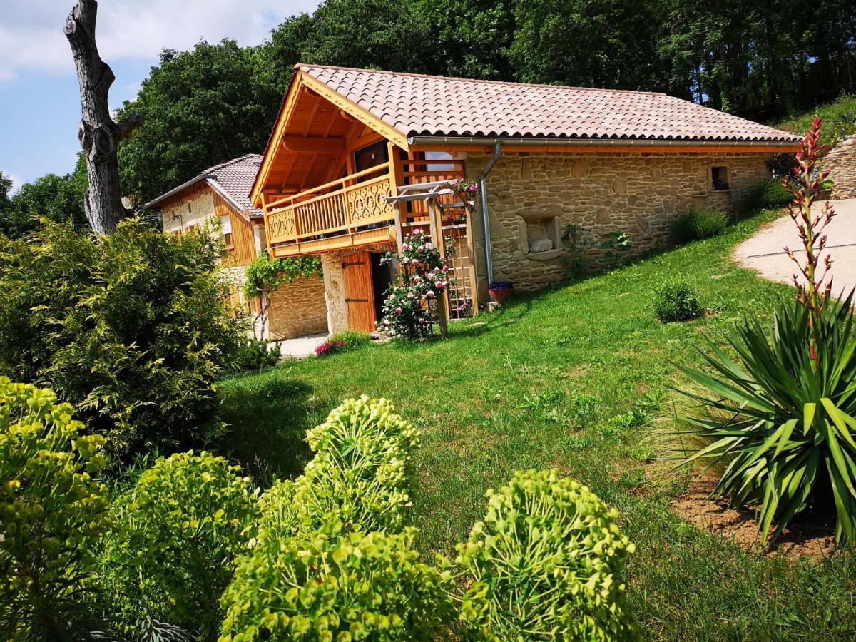 Chalet Le Clos De L'Orme Saint-Lattier Exterior photo